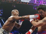 Clip Đặc Sắc - Mayweather đấm nhanh gấp 5 lần rắn mổ (Bí ẩn võ sĩ - P.cuối)