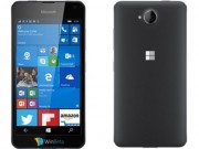 Dế sắp ra lò - Lumia 650 sẽ là “đứa con” Lumia 5 inch cuối cùng