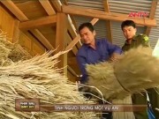 Vác súng vào rừng tìm trâu, bắn nhầm anh vợ (Phần Cuối)