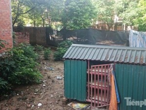 Tài chính - Bất động sản - Biệt thự tiền tỉ bỏ hoang, cây cỏ dại mọc um tùm