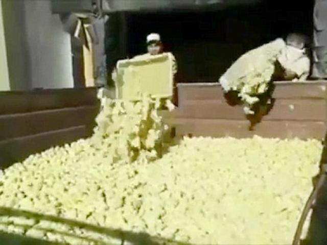 Thế giới - Video 9 triệu chú gà con bị nghiền nát gây tranh cãi