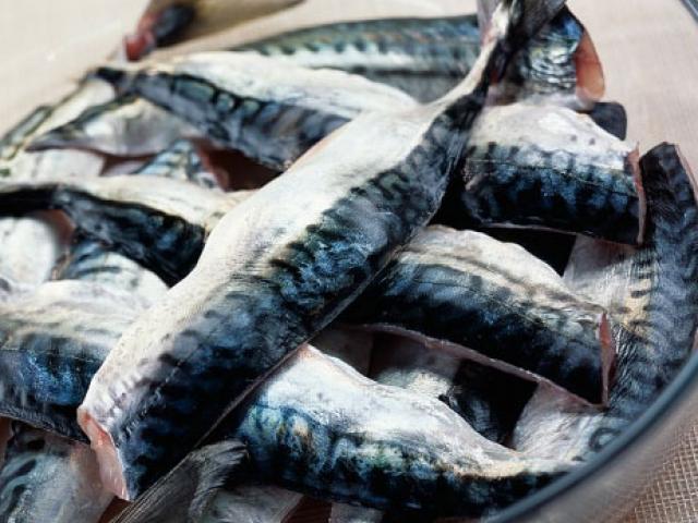 Sức khỏe đời sống - 5 loại cá "cấm chỉ" phụ nữ mang thai được ăn