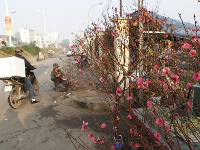 Tin tức trong ngày - Tết Dương lịch được nghỉ bao nhiêu ngày?