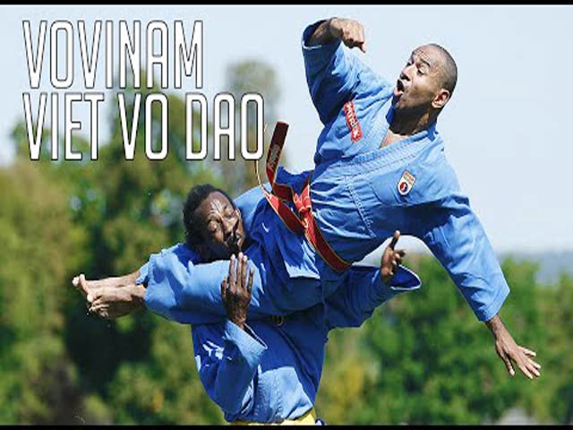 Thể thao - Những niềm tự hào võ thuật Việt Nam