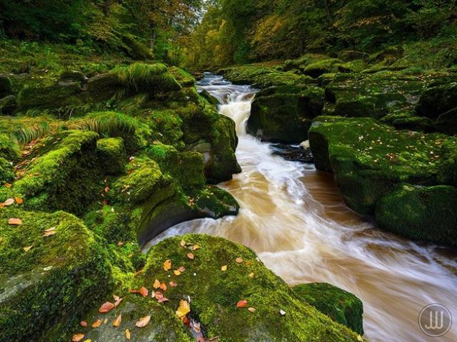 Du lịch - Kỳ bí con suối "ăn thịt người" ở Anh