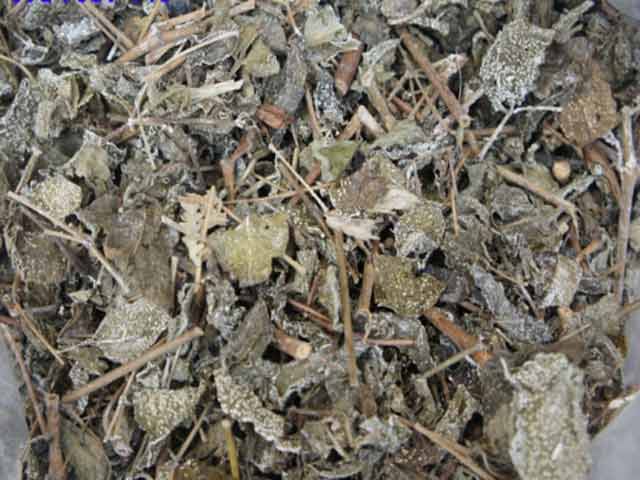 Sức khỏe đời sống - Chiêu trò biến cây cỏ thành "thần dược" chữa bách bệnh