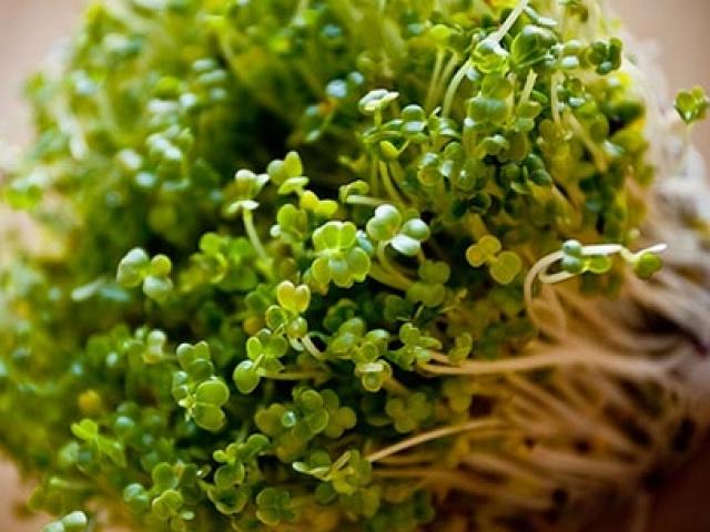 Bác sĩ của bạn - 7 thực phẩm "thần kỳ" có thể chống lại ung thư dạ dày