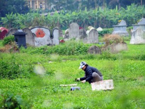 Tin tức trong ngày - HN: Ruộng rau xanh tốt giữa nghĩa địa nước đen đầy váng mỡ