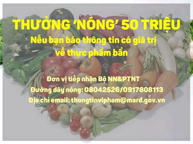 Tin tức trong ngày - Lấy tiền phạt thực phẩm bẩn để thưởng cho người báo tin