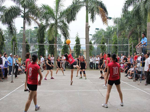 Thể thao - Bóng chuyền: Môn thể thao ngày càng lên ngôi