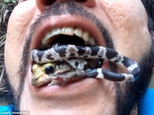 Video: “Dị nhân” ngậm cả rắn và ếch độc trong miệng