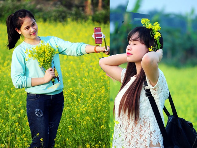 Tình yêu - Giới tính - Giới trẻ Hà thành “làm duyên” bên hoa cải vàng