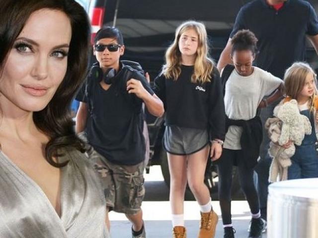 Angelina Jolie bị lên án vì... cho con cưỡi voi