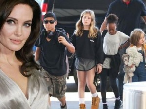 Phim - Angelina Jolie bị lên án vì... cho con cưỡi voi