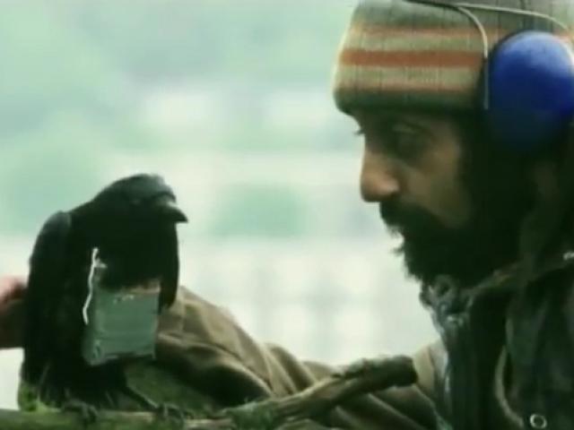 Thế giới - IS định dùng "chim thánh chiến" đánh bom máy bay Mỹ