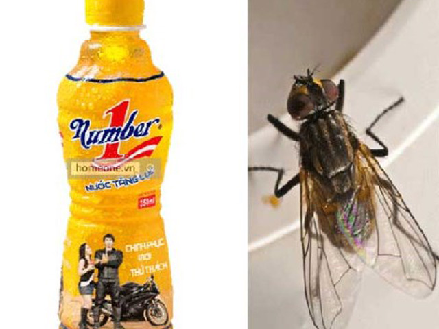 Tin tức trong ngày - Vụ chai nước có ruồi: Bộ Công Thương lên tiếng