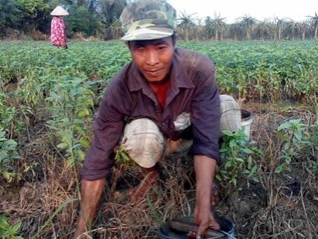 Pháp luật - Mang thân phận bị can 21 năm