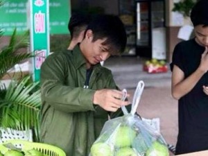 Giải trí - Lệ Rơi phát triển thị trường ổi khắp các tỉnh phía Bắc