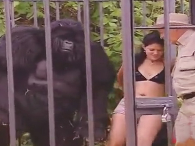 Video clip: Khi chú khỉ troll người đẹp