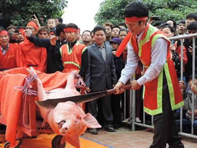 Tin tức trong ngày - Tiếp tục tổ chức lễ hội chém lợn phản cảm?
