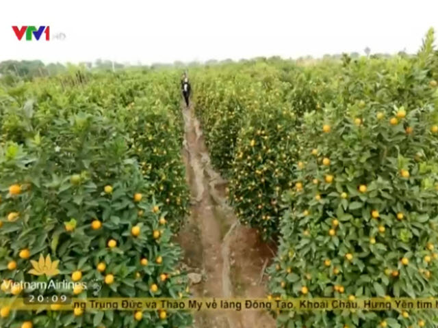 Du lịch Việt Nam - Làng Đông Tảo nhộn nhịp ngày xuân