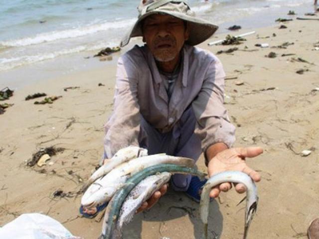 Tin tức trong ngày - Ứng 3.000 tỉ đồng bồi thường ngư dân 4 tỉnh miền Trung