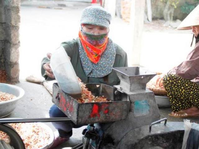 Tin tức trong ngày - Độc đáo làng dầu lạc ở Nghệ An