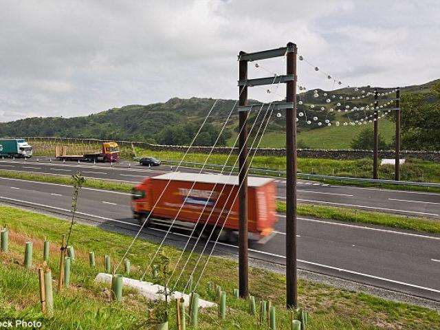 Phi thường - kỳ quặc - Anh: Xây cầu 58 tỉ đồng cho…dơi qua đường