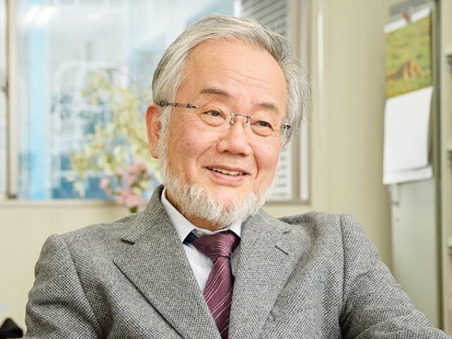 Nobel Y học 2016 vinh danh nhà khoa học Nhật Bản