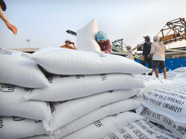 Thị trường - Tiêu dùng - Gạo VN đứng trước nguy cơ bị cấm nhập khẩu vào Mỹ