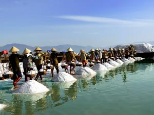 Tin tức nóng, hình ảnh video mới nhất về tỉnh Bình Thuận - 24H