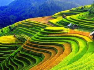 Yên Bái: Tin tức nóng, hình ảnh video mới nhất về tỉnh Yên Bái