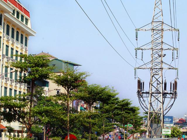 Tin tức trong ngày - HN: Kỳ lạ hàng trăm cây xanh trồng dưới đường điện cao thế