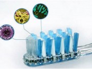 Kinh hoàng ổ vi khuẩn trên bàn chải đánh răng