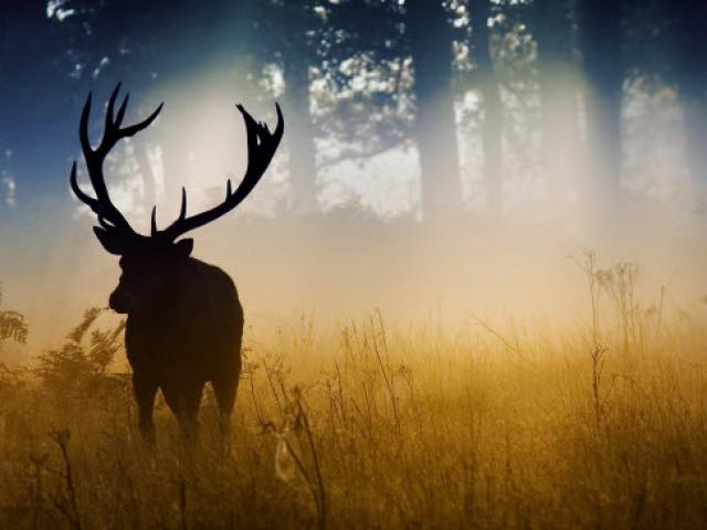 Điểm du lịch - "Tan chảy" trước cảnh sắc mùa thu tràn ngập khắp TG