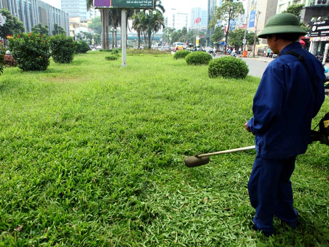Tin tức trong ngày - Hà Nội nhộn nhịp cắt cỏ trở lại sau 3 tháng tạm dừng