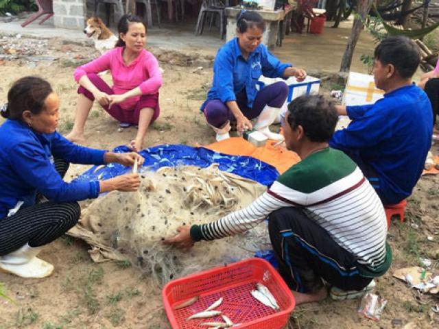 Tin tức trong ngày - 500 triệu USD bồi thường của Formosa được chi trả ra sao?