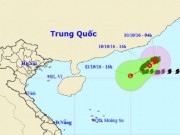 Tin tức trong ngày - Bão số 6 suy yếu thành áp thấp nhiệt đới