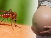 Sức khỏe đời sống - Điều tra, xử lý ổ dịch Zika tại TP.HCM, Bình Dương