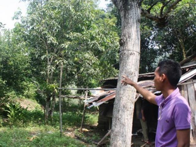 Tin tức trong ngày - Vào nơi sẽ đặt nhà máy thép nghìn tỷ