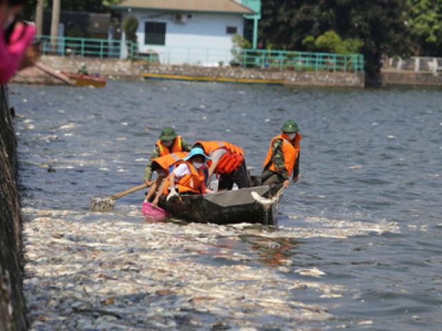 Tin tức trong ngày - Vụ cá chết Hồ Tây: Kiểm tra toàn bộ cống xả thải