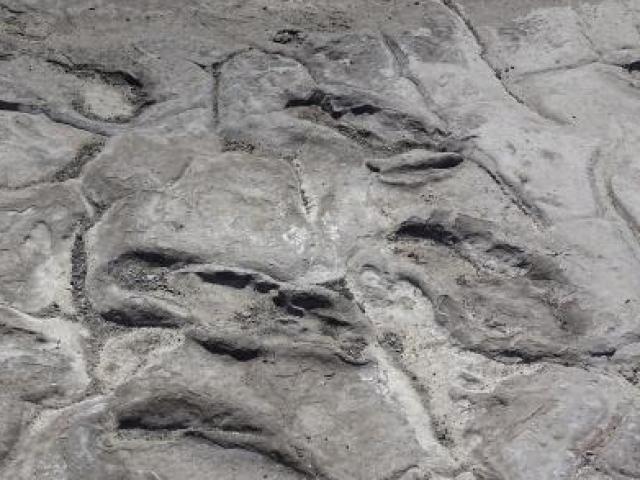 Thế giới - Tìm thấy 400 dấu chân người nguyên vẹn 19.000 năm trước