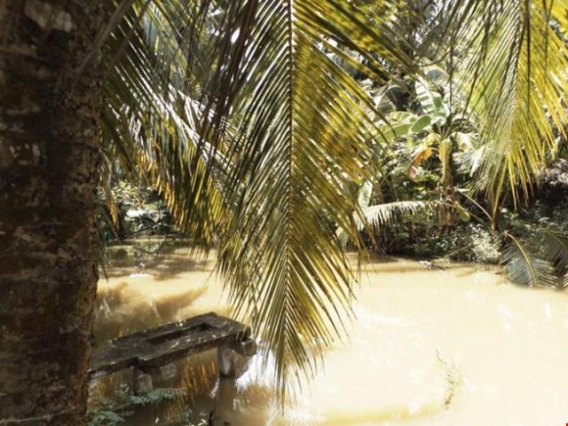 Pháp luật - Nghịch tử sát hại mẹ vì di chúc không có tên mình