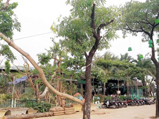 Bóng đá - Mỹ Đình "vỡ trận" vì làm kinh tế