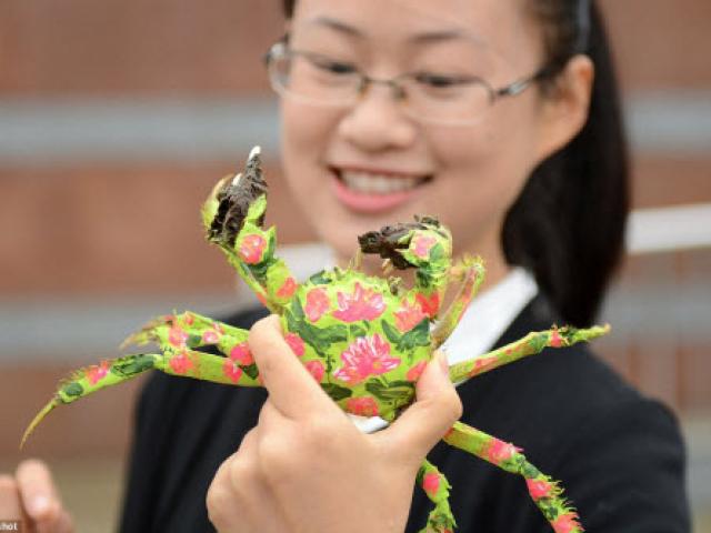 Phi thường - kỳ quặc - Độc đáo cuộc thi thời trang cua ở Trung Quốc