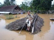 Tin tức trong ngày - Quảng Bình: Kêu gọi khẩn cấp cứu đói cho dân