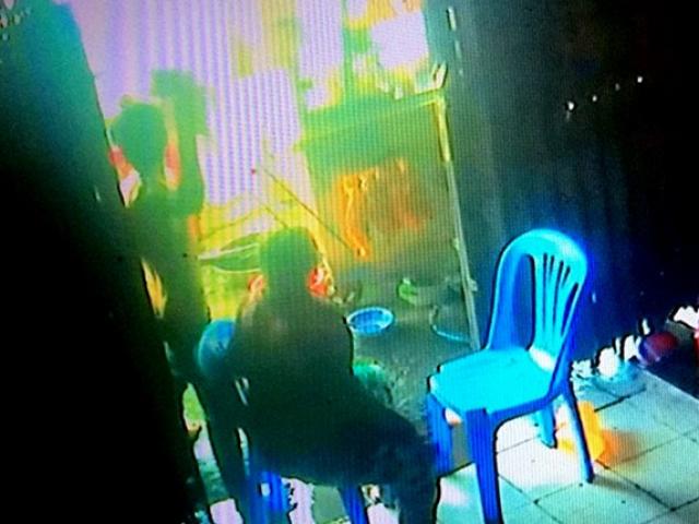 Pháp luật - Cụ bà bị khống chế, dọa giết trong tiệm heo quay