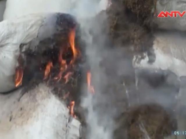 Thị trường - Tiêu dùng - Phát hiện 5 tấn dược liệu lạ từ Trung Quốc