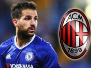 Bóng đá - Fabregas: Chelsea hắt hủi, Milan cũng phũ phàng