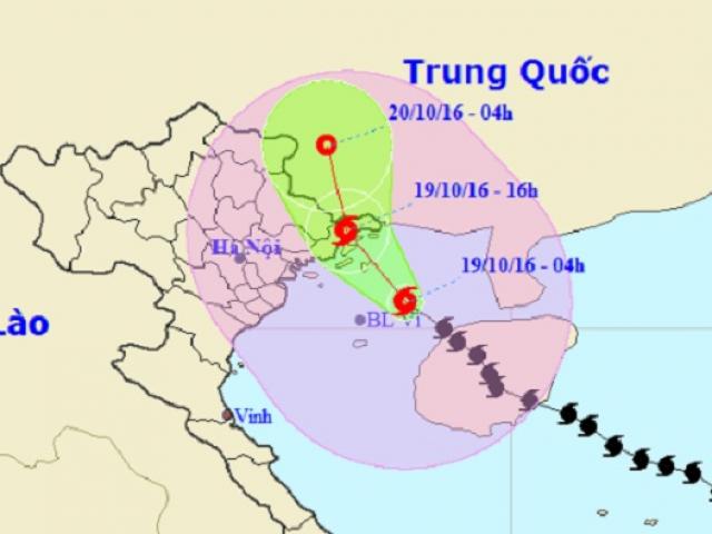 Chiều nay, bão số 7 đổ bộ Quảng Ninh